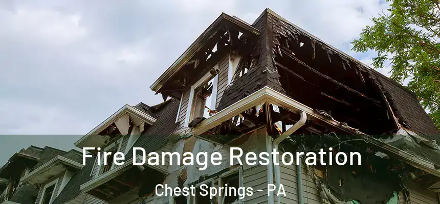 Fire Damage Restoration Chest Springs - PA