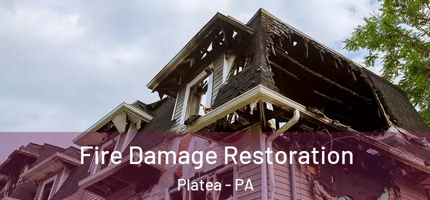 Fire Damage Restoration Platea - PA