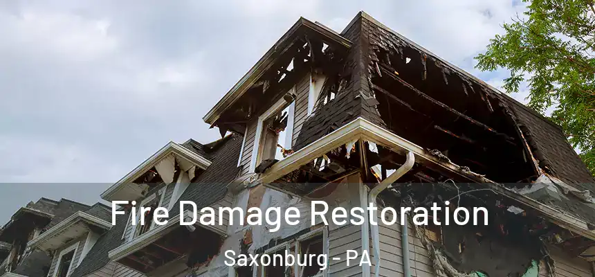  Fire Damage Restoration Saxonburg - PA