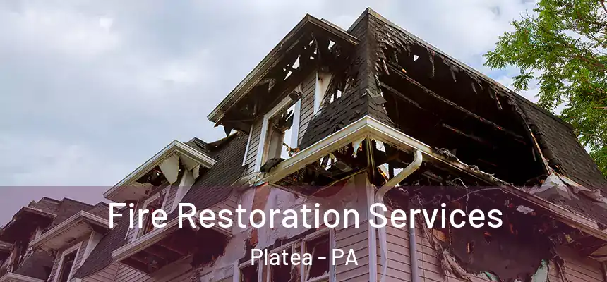 Fire Restoration Services Platea - PA