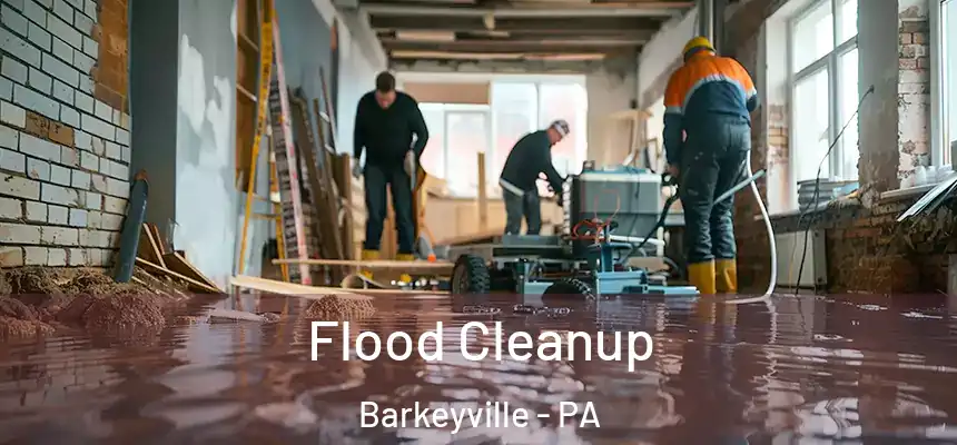  Flood Cleanup Barkeyville - PA