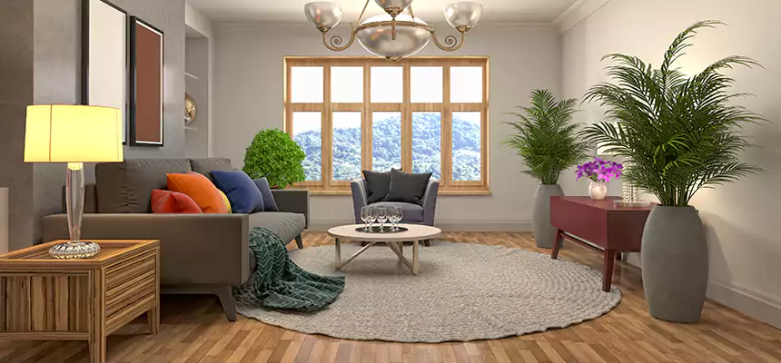 Local Water Mitigation in Titusville