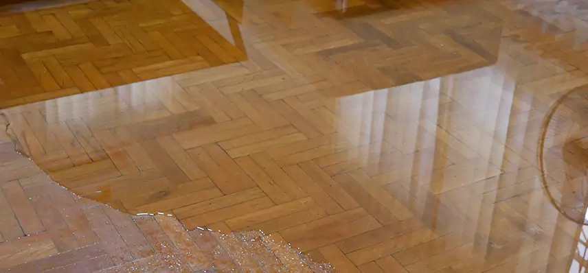 Laminate Wood Floor Water Damage Repair in Titusville
