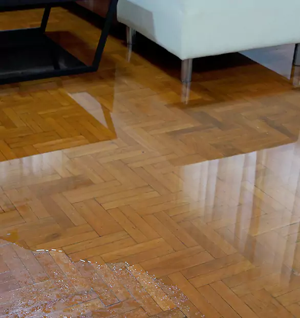 Trusted Emergency Water Restoration Company in Titusville, PA