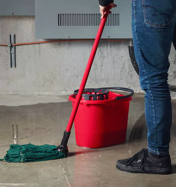 Trusted Sewage Cleanup Company in Titusville, PA