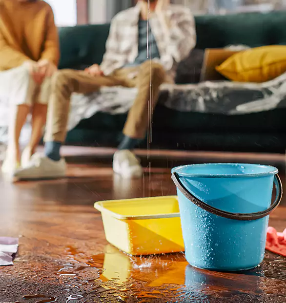 Reliable Water Mitigation Company in Titusville, PA