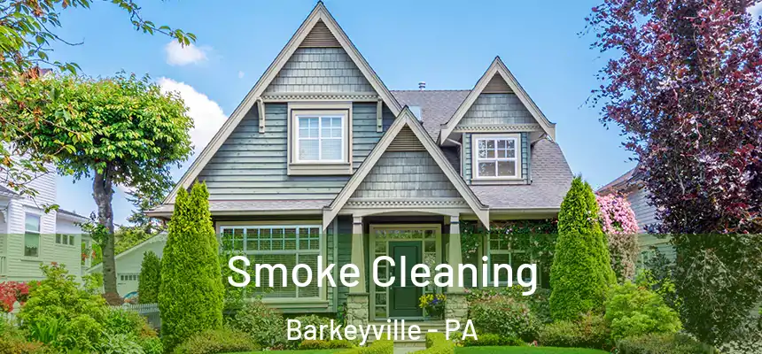 Smoke Cleaning Barkeyville - PA