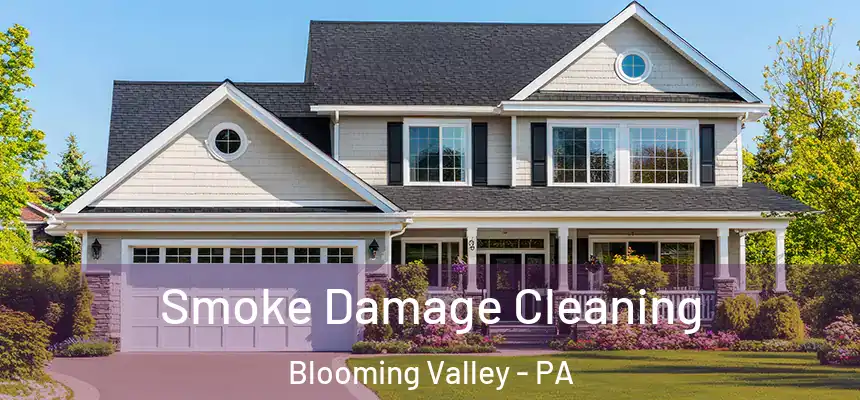 Smoke Damage Cleaning Blooming Valley - PA