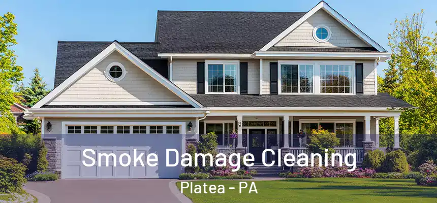  Smoke Damage Cleaning Platea - PA